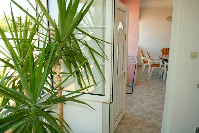 Apartments Mirjana - סטארה נובליה מראה חיצוני תמונה